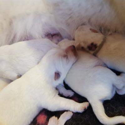 des câlins blottis contre maman