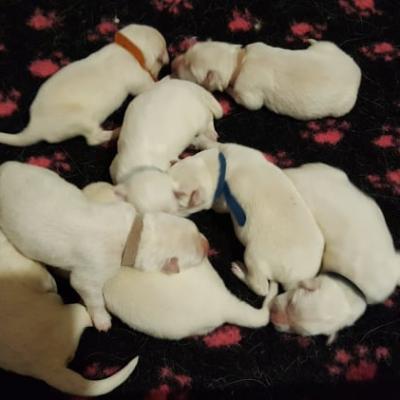 2 jours pour les bébés de Nina