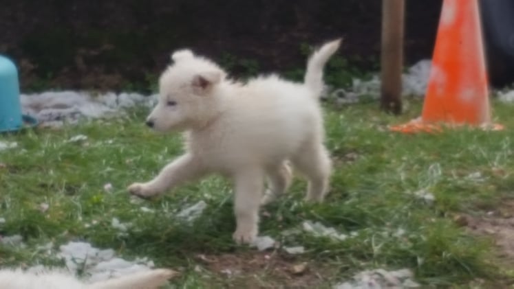 un peu flou mais la position est rigolote 