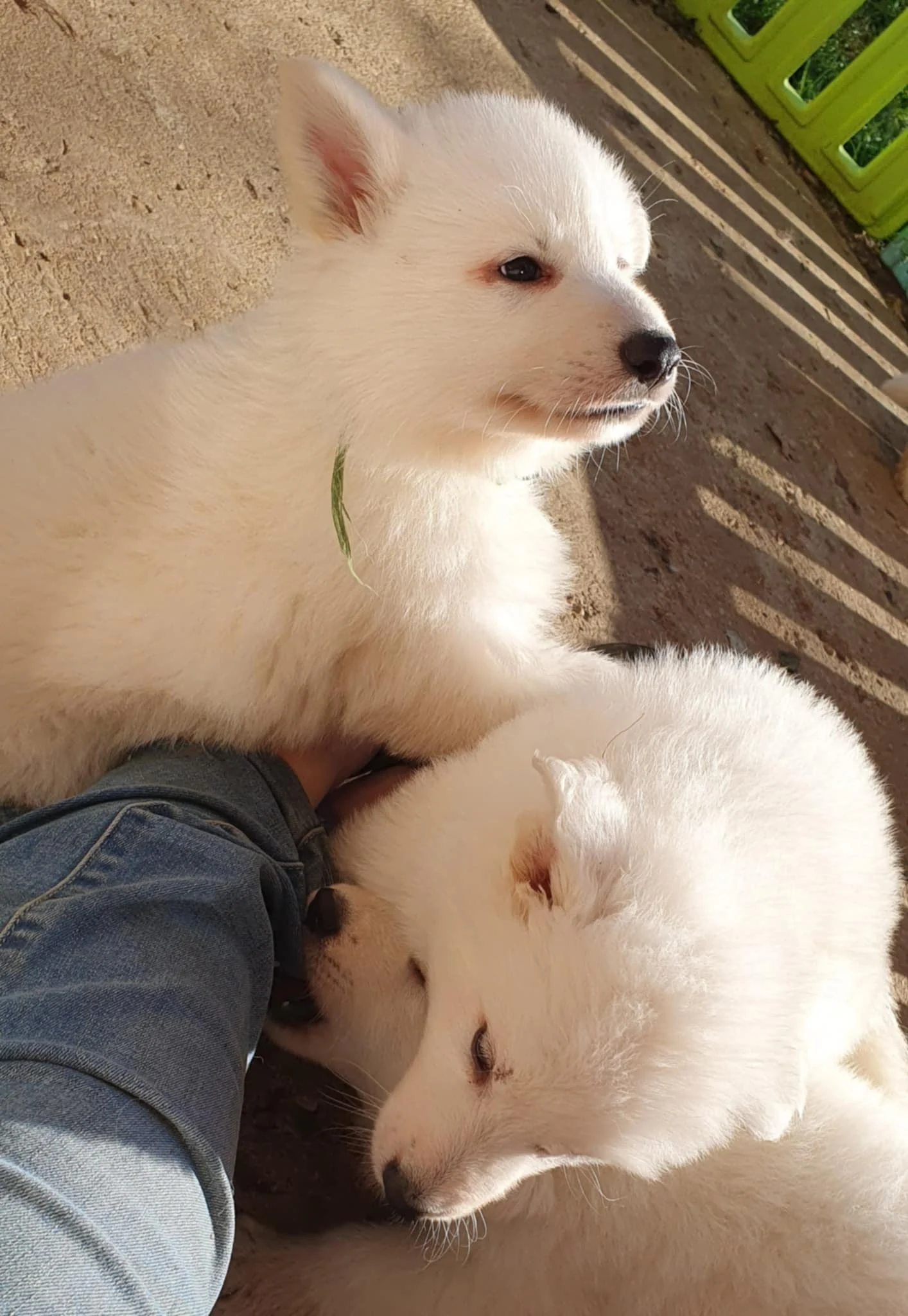 on est bien installés 