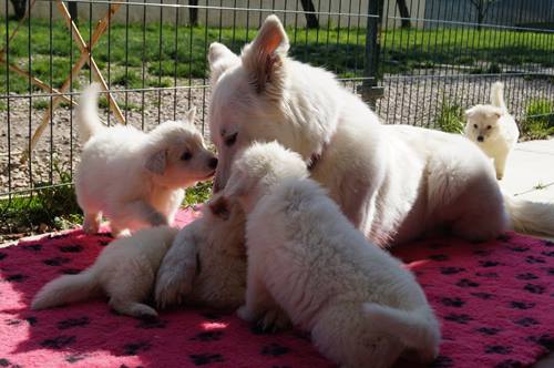 attaque de maman !!!