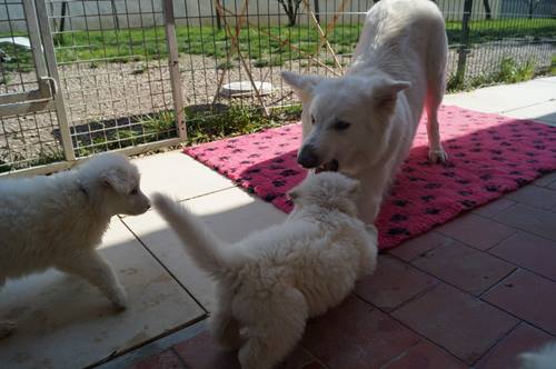 Flo en plein jeux avec ses bébés <3