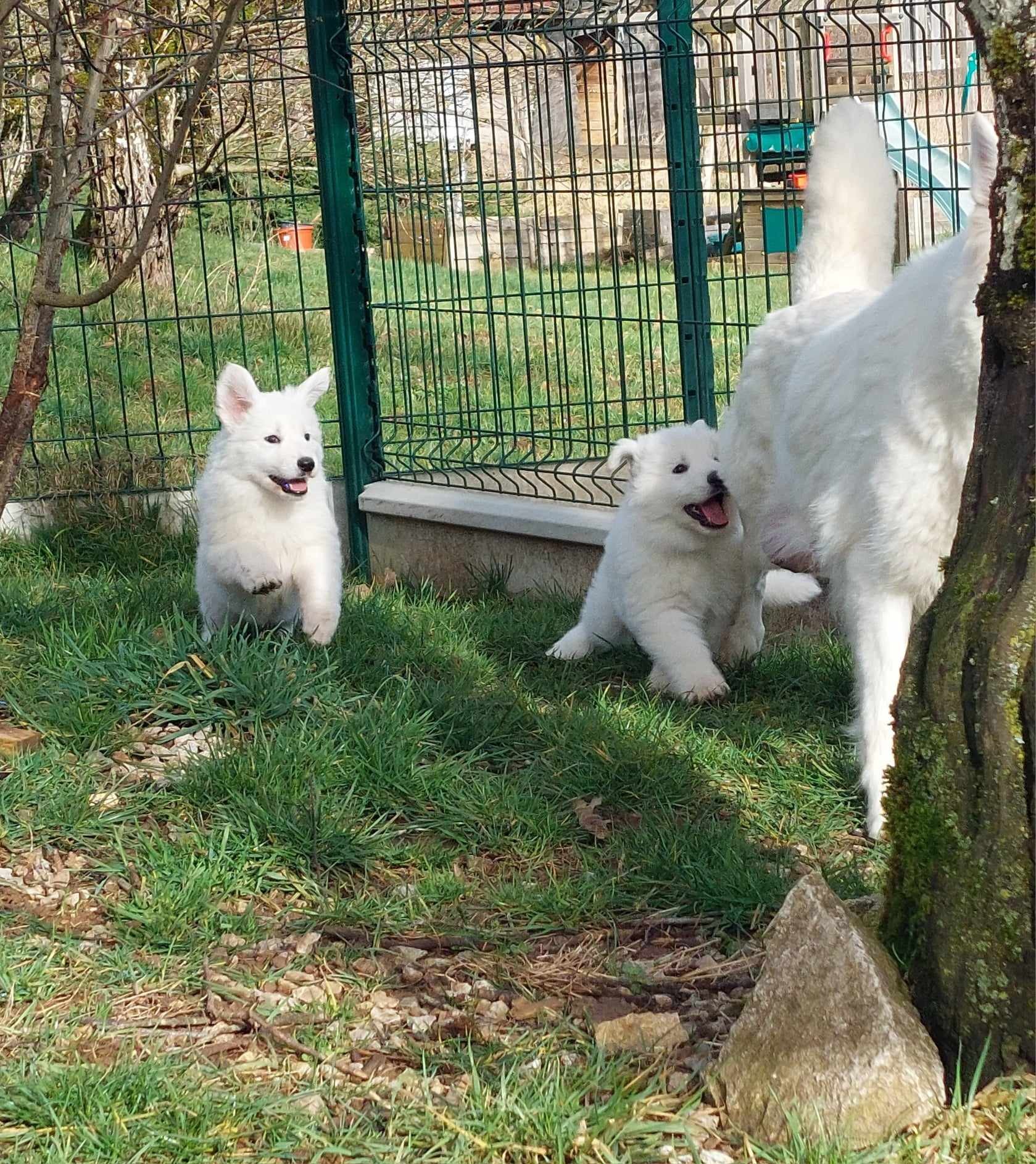 je vais t’attraper maman