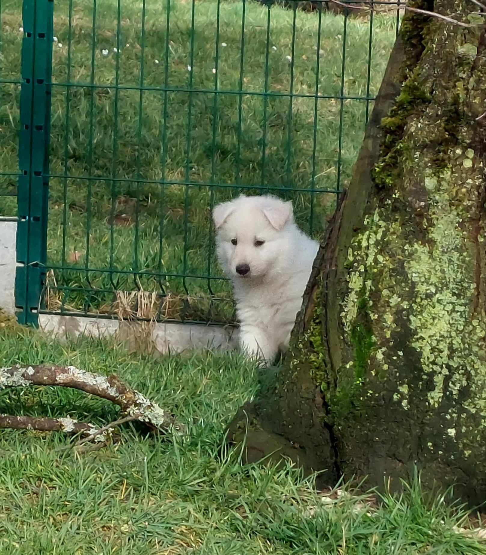 vous me voyez pas !