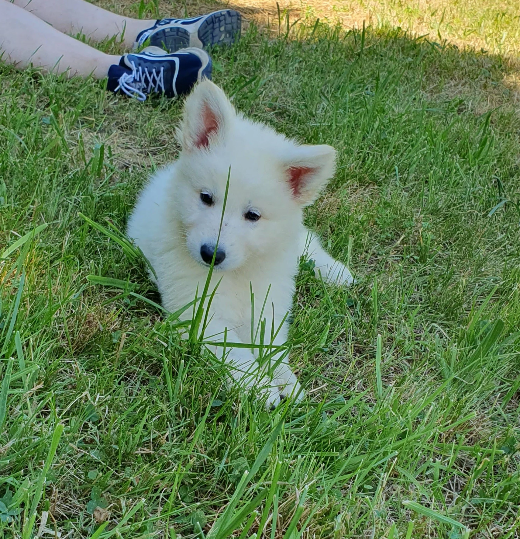 petite bouille