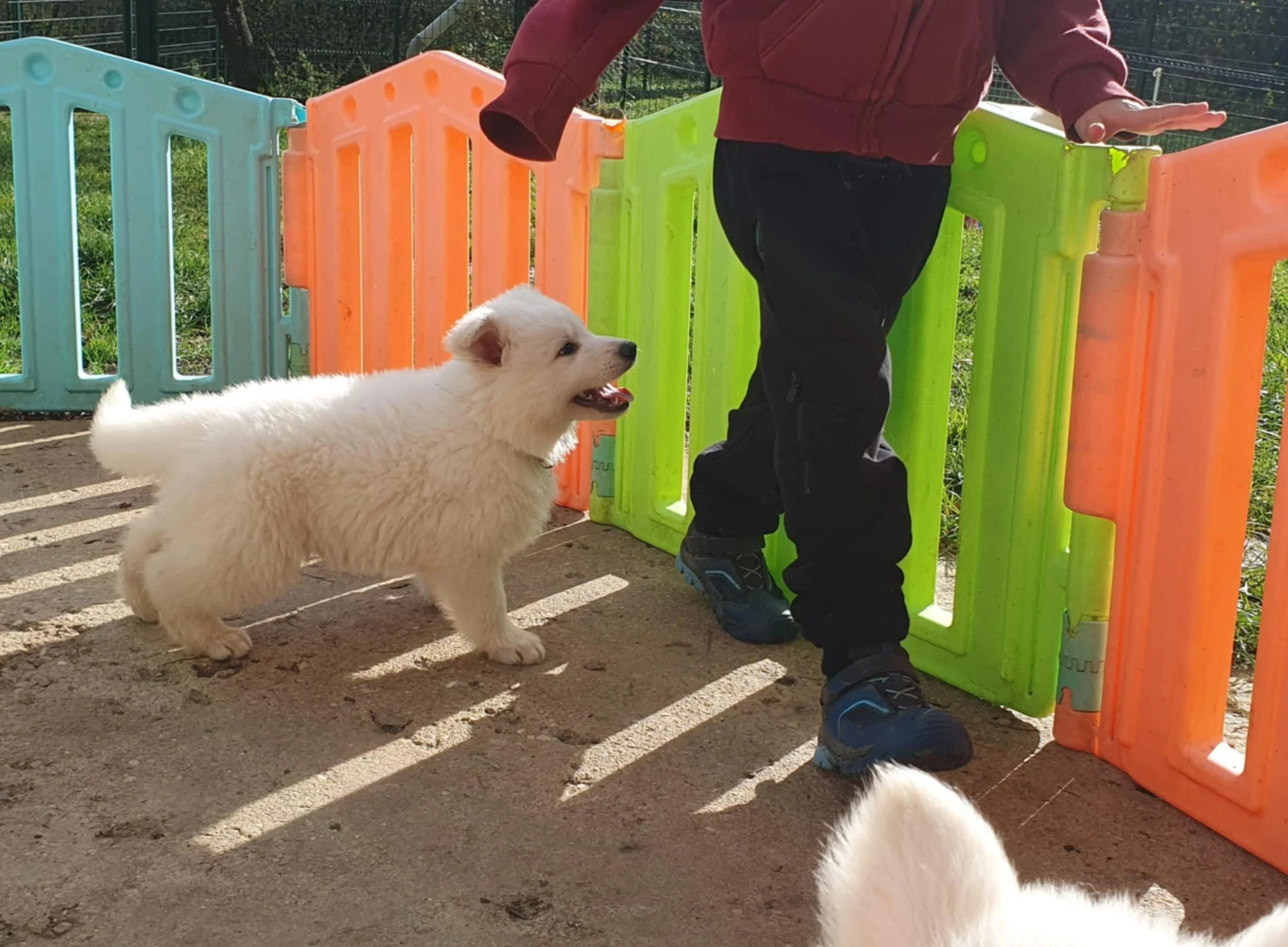 j'aime bien ce bonhomme