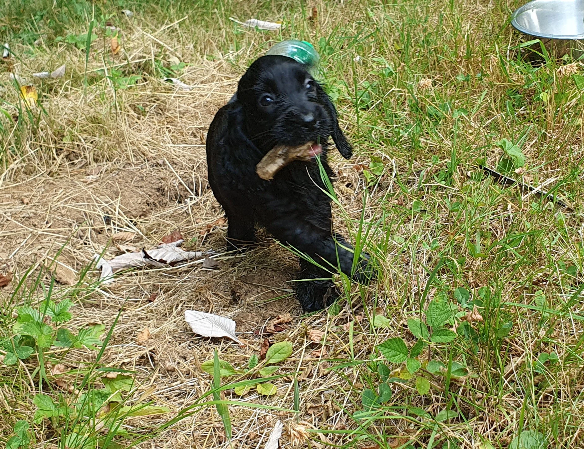 une belle trouvaille cette feuille 