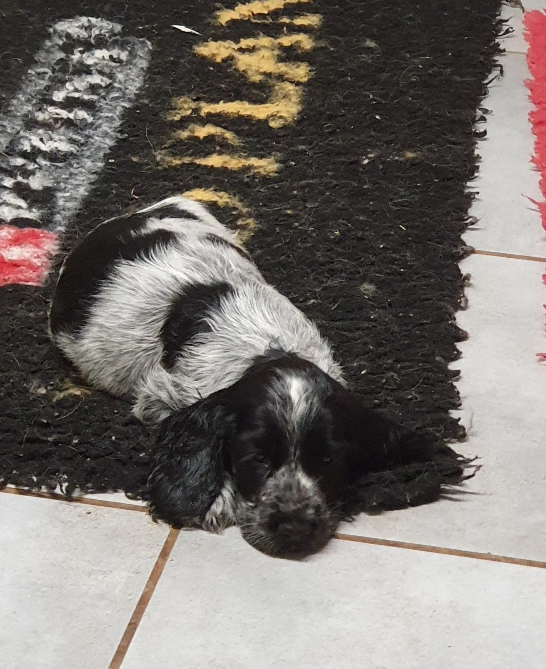 je suis fatigué .. ne pas déranger 