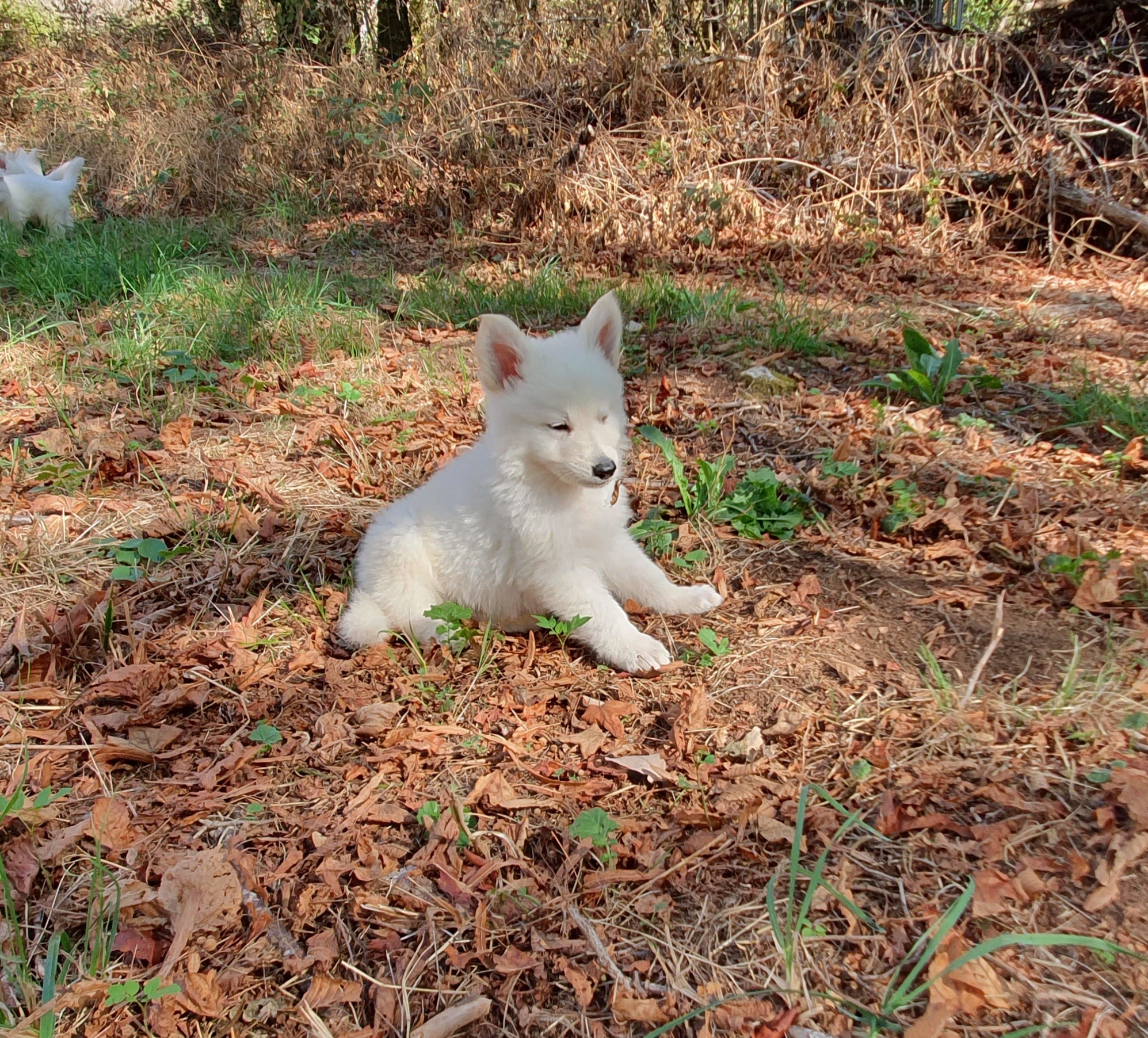 coucou toi 