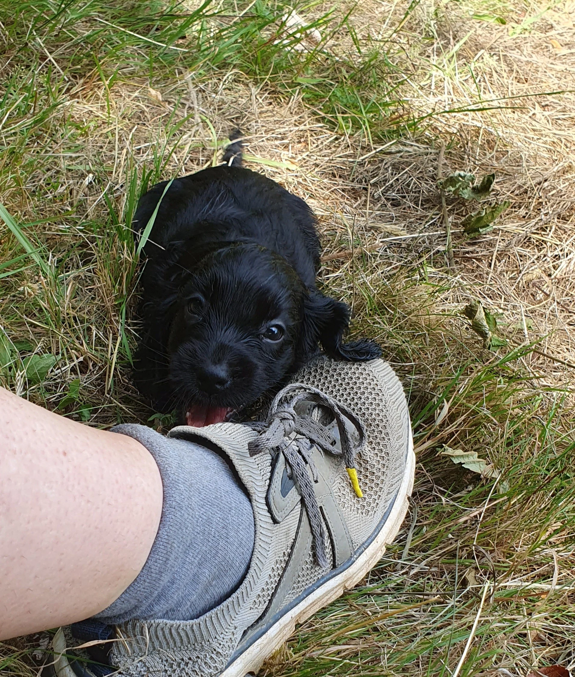 non je ne fais pas de bétise 