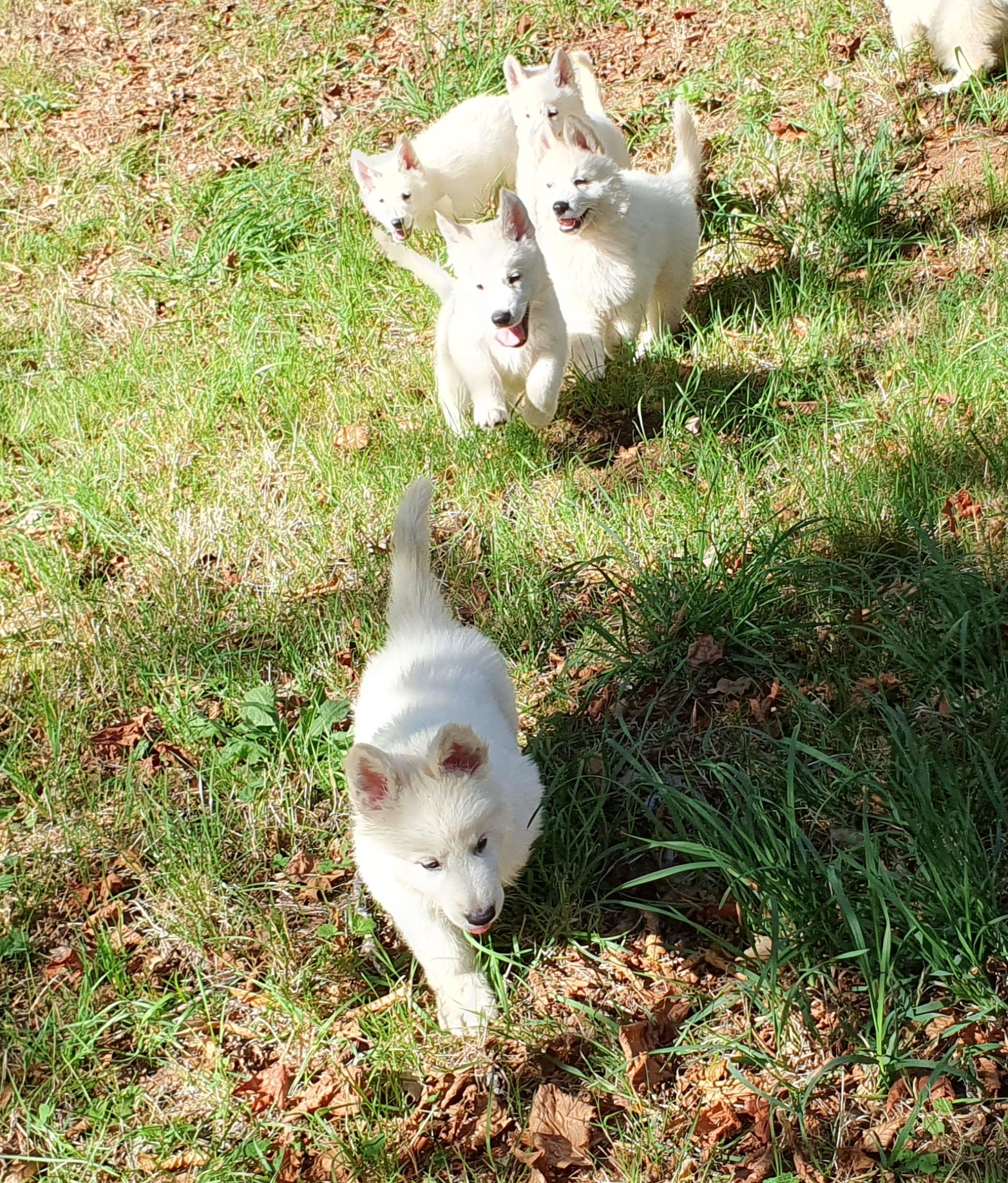 on explore