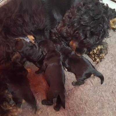 une super maman !