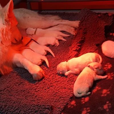 une super maman !