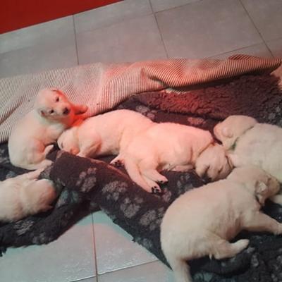 maman n'aime pas trop quand les tapis sont bien rangés ..