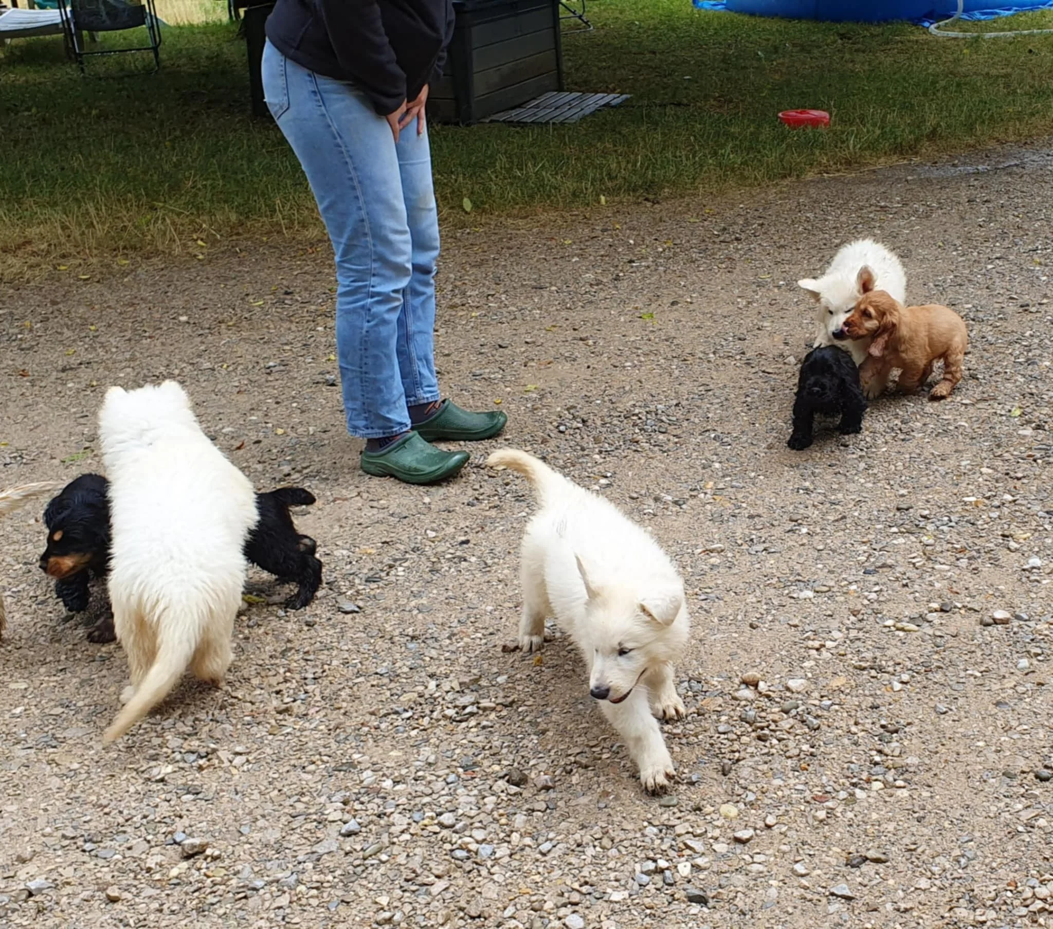 on profite avec les petits blancs