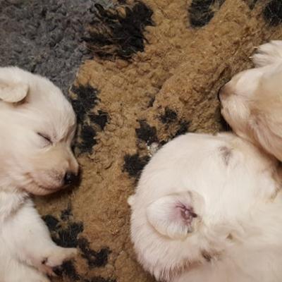 3 semaines , on dors toujours beaucoup