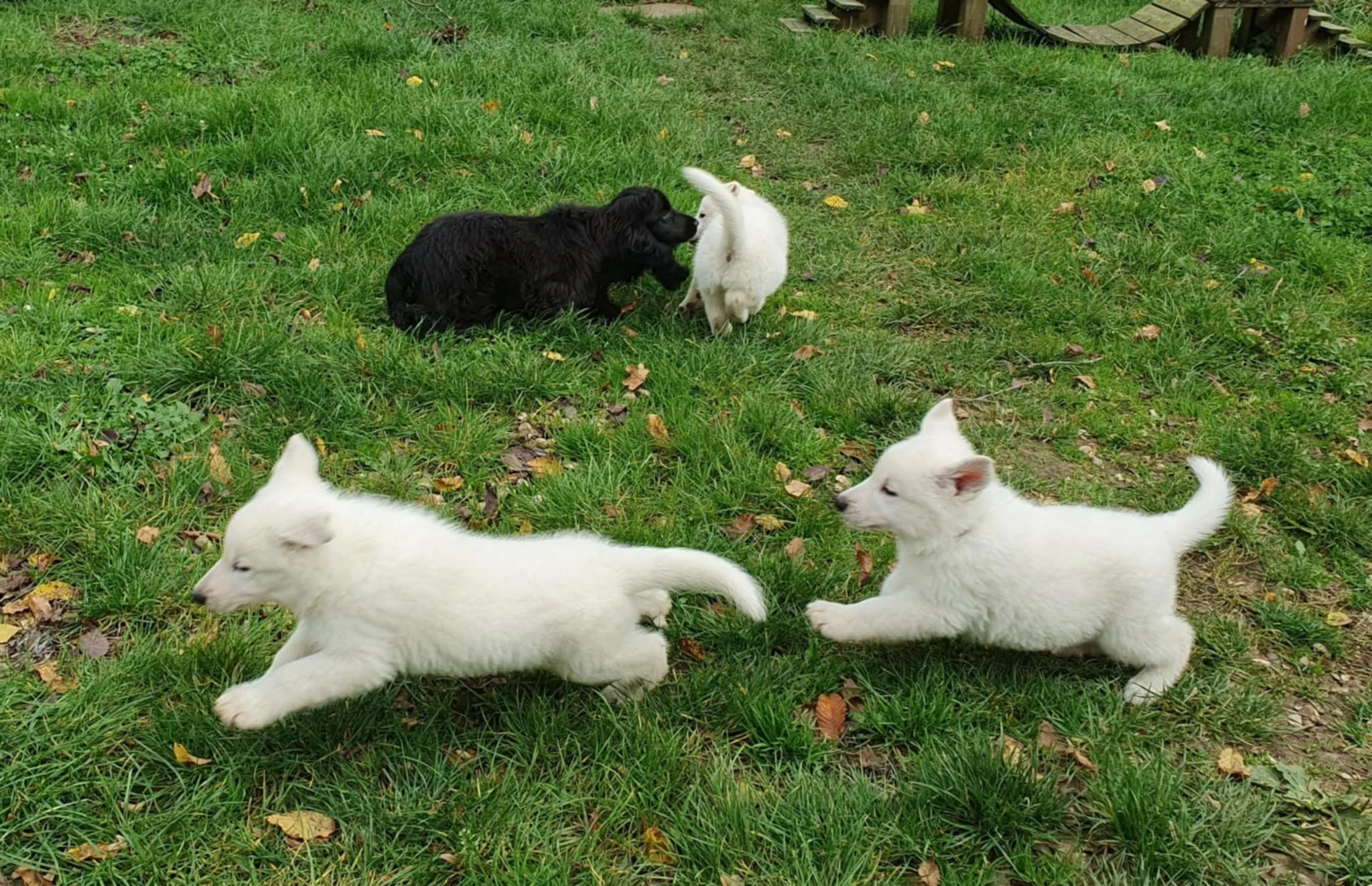 ils se sont bien amusés