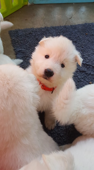coucou toi !