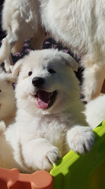 quel sourire  