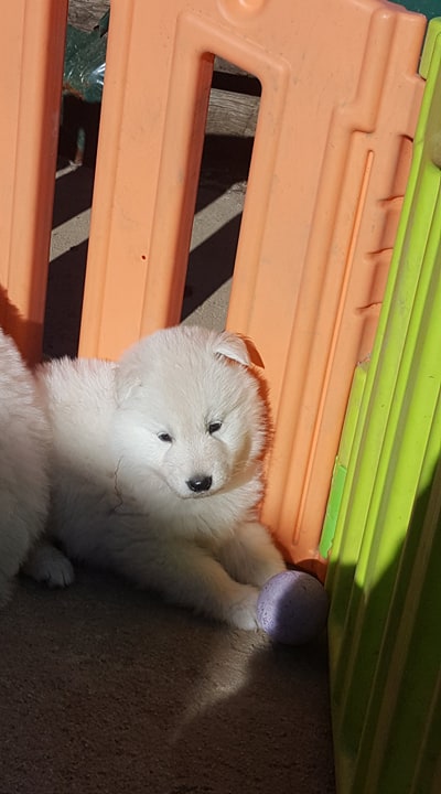 je prend le soleil 
