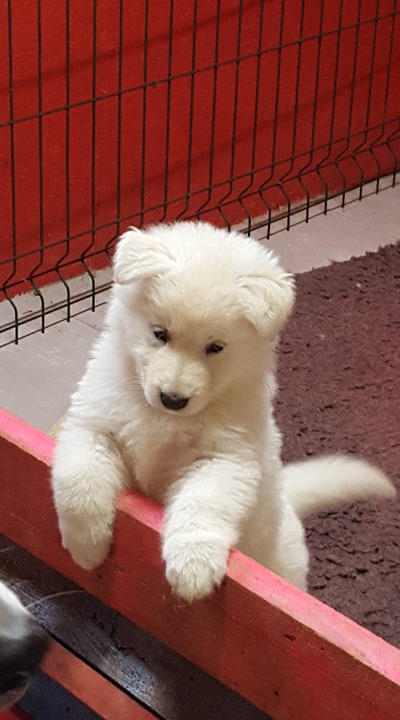 coucou toi