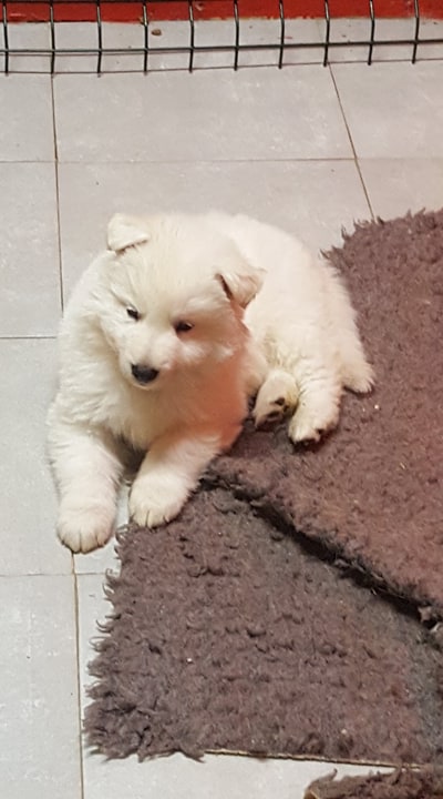 <3