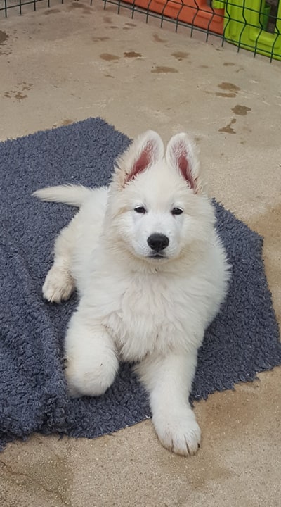 bonne bouille !