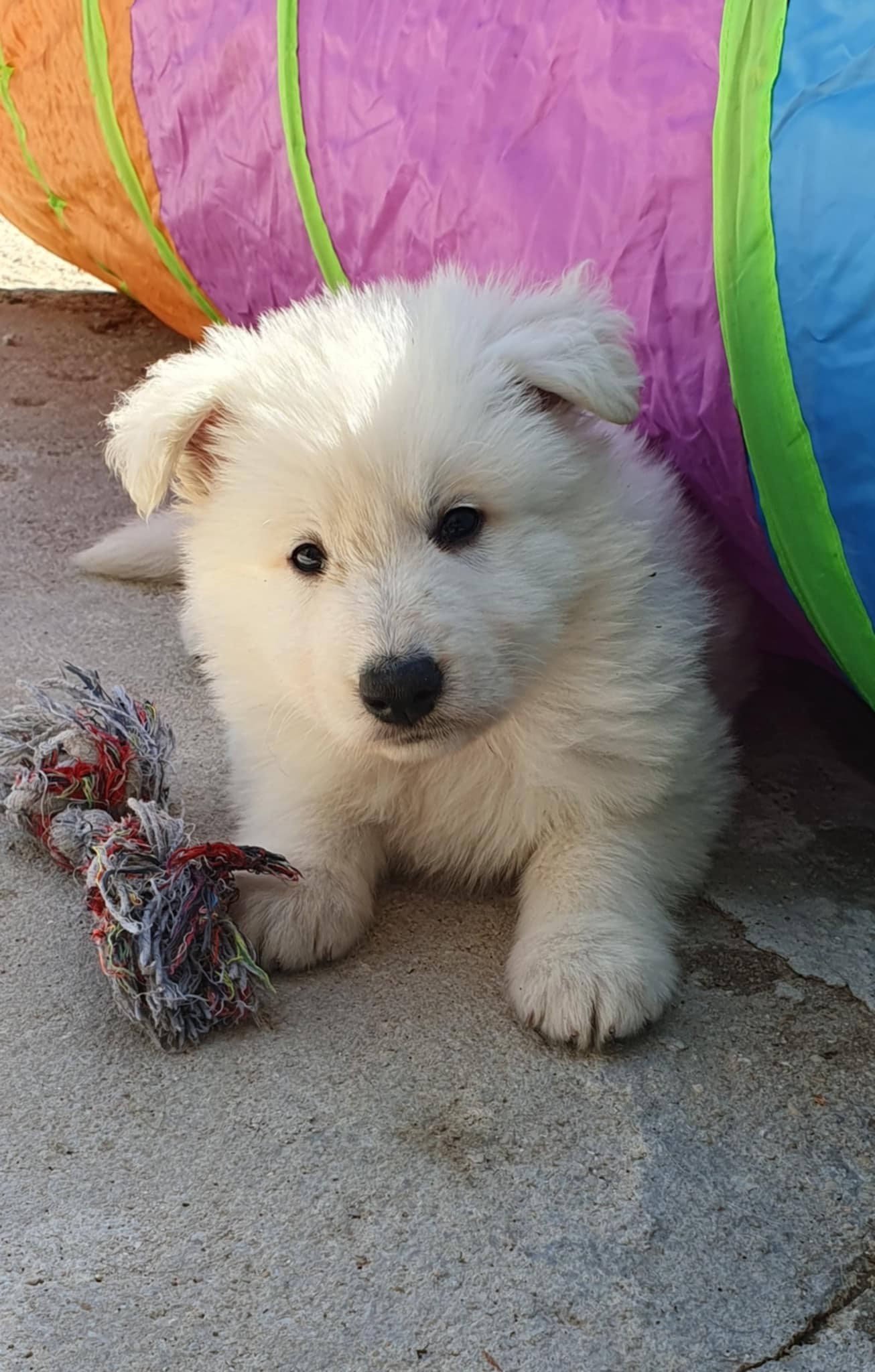 petite bouille