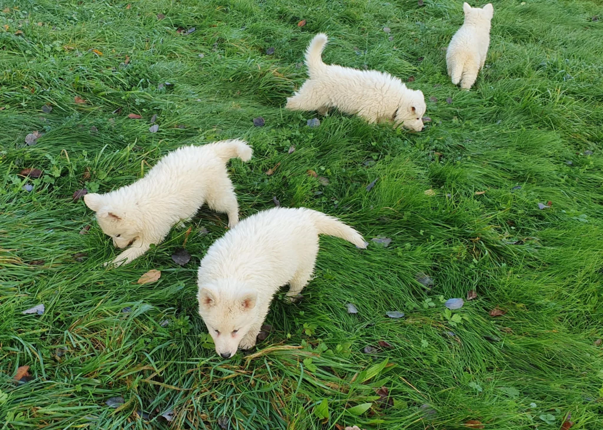 nouvelle zone a explorer