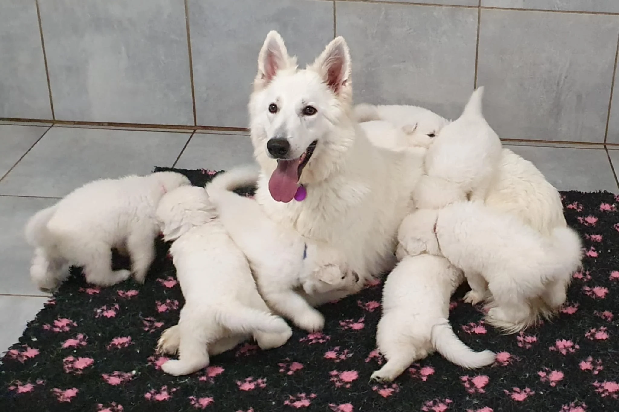 gros calin avec maman