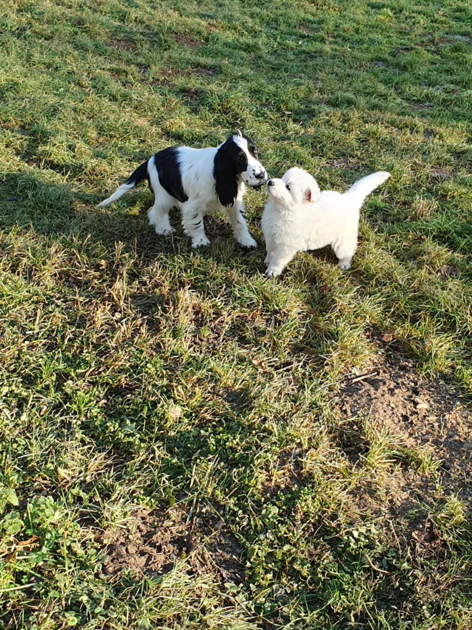 2 nouvelles meilleurs amies 