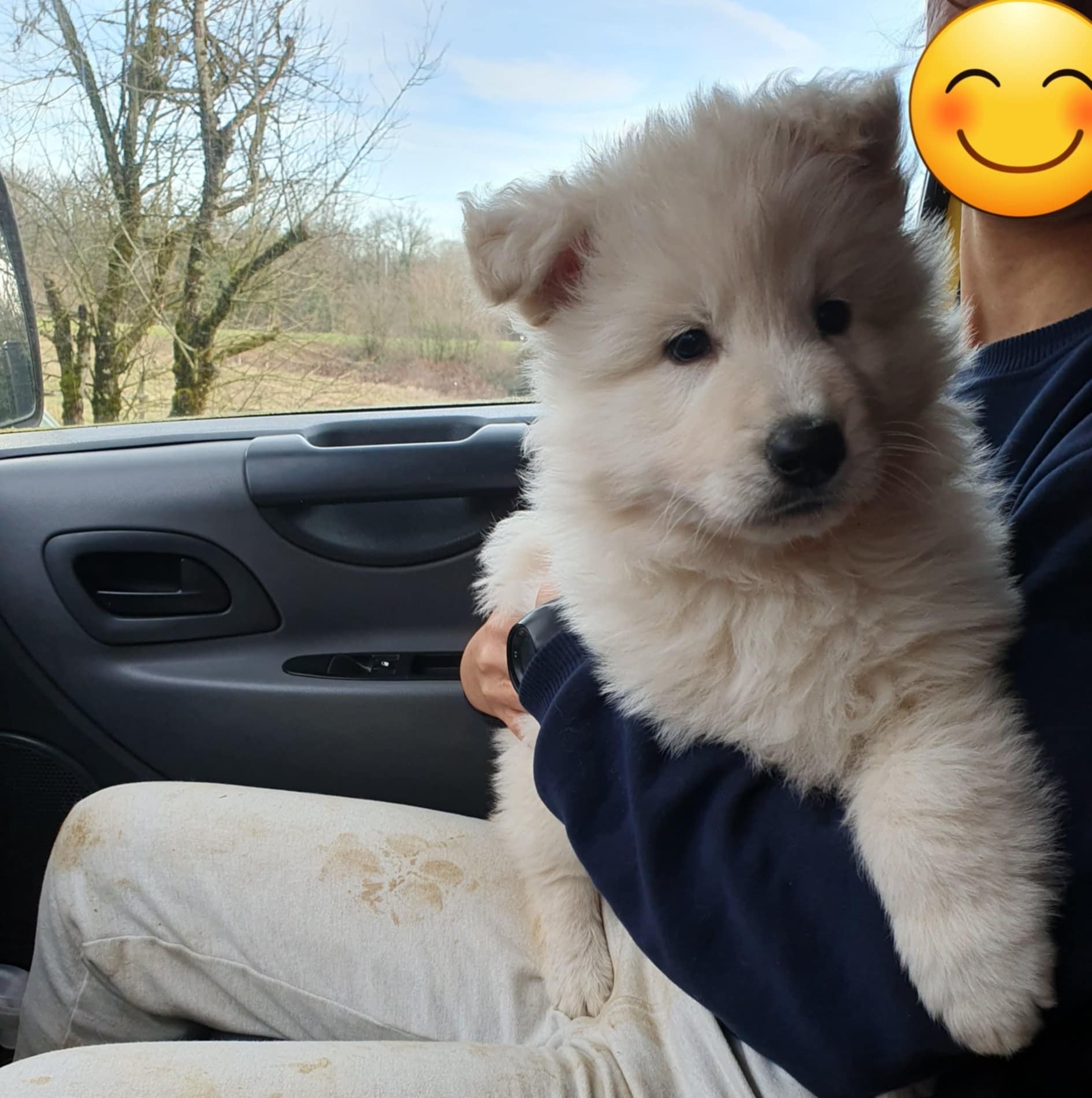 petit tour en voiture
