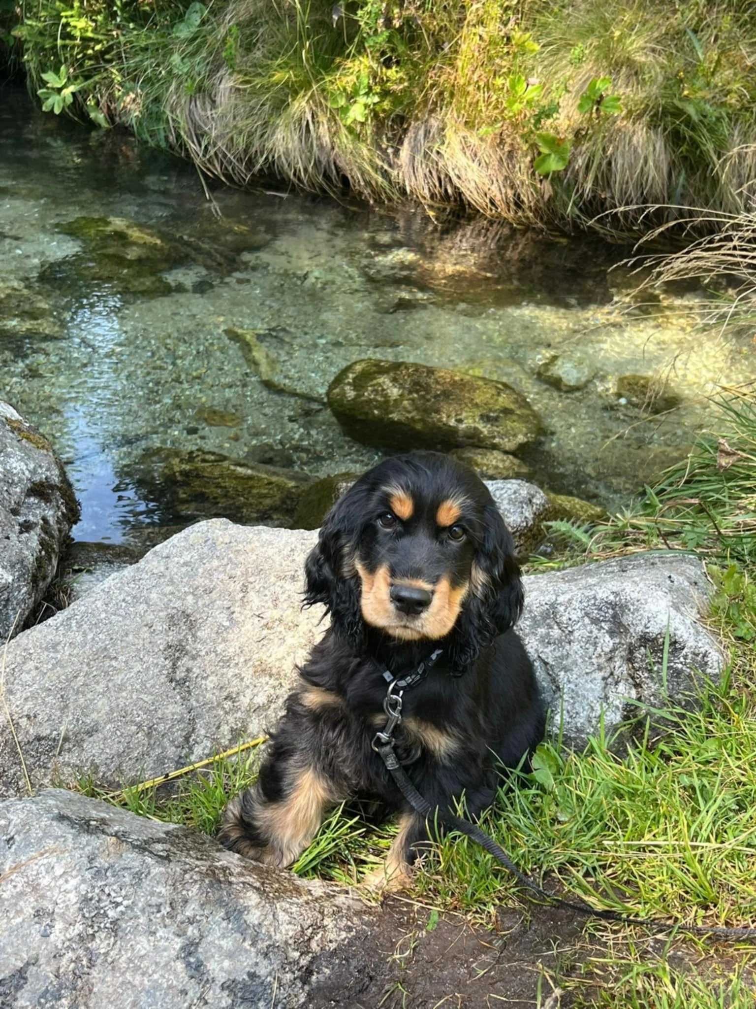 Apache, aout25, etincelle x quovadis