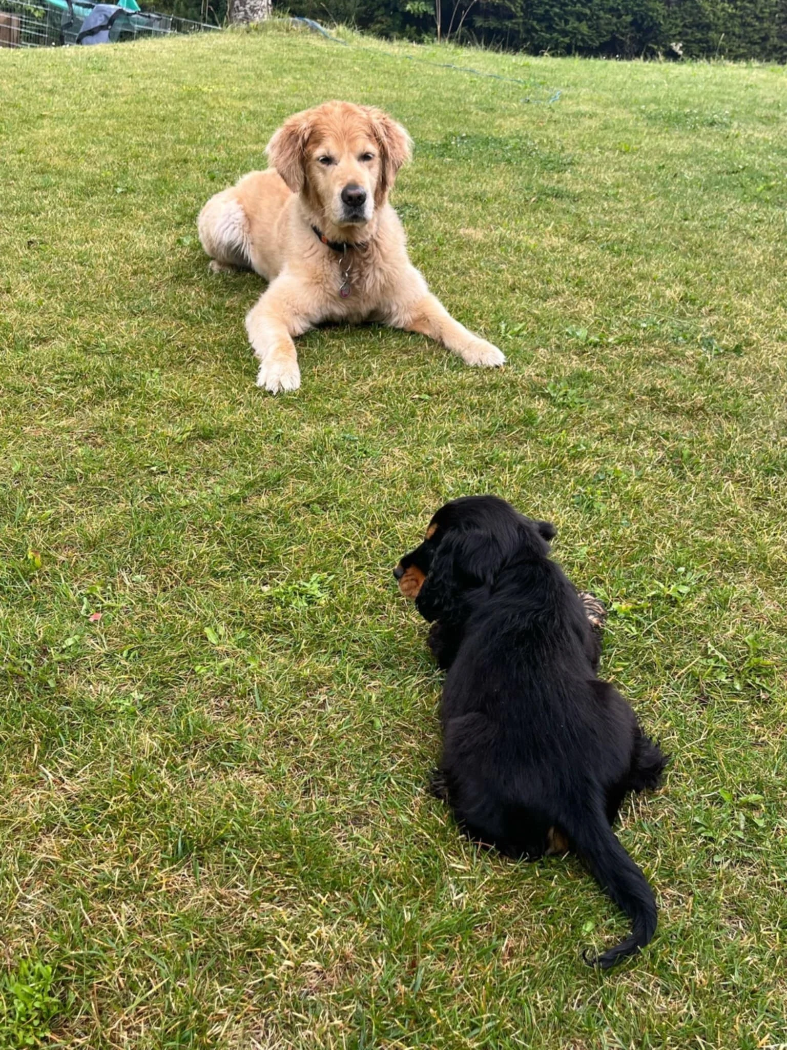 Apache, juillet 25, etincelle x quovadis