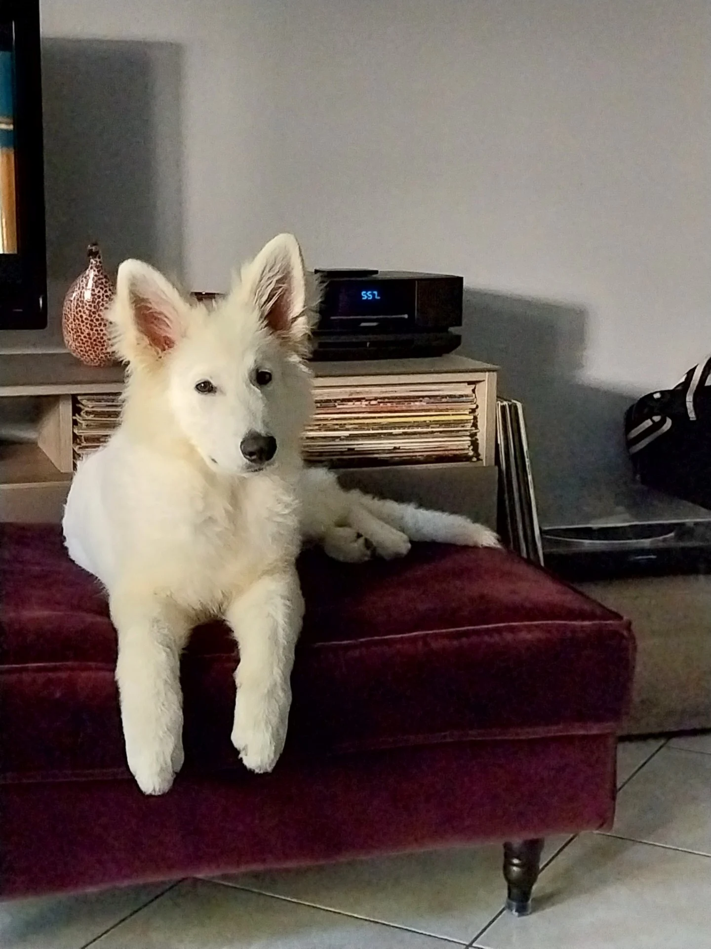 Apache, juillet25, twist x aro