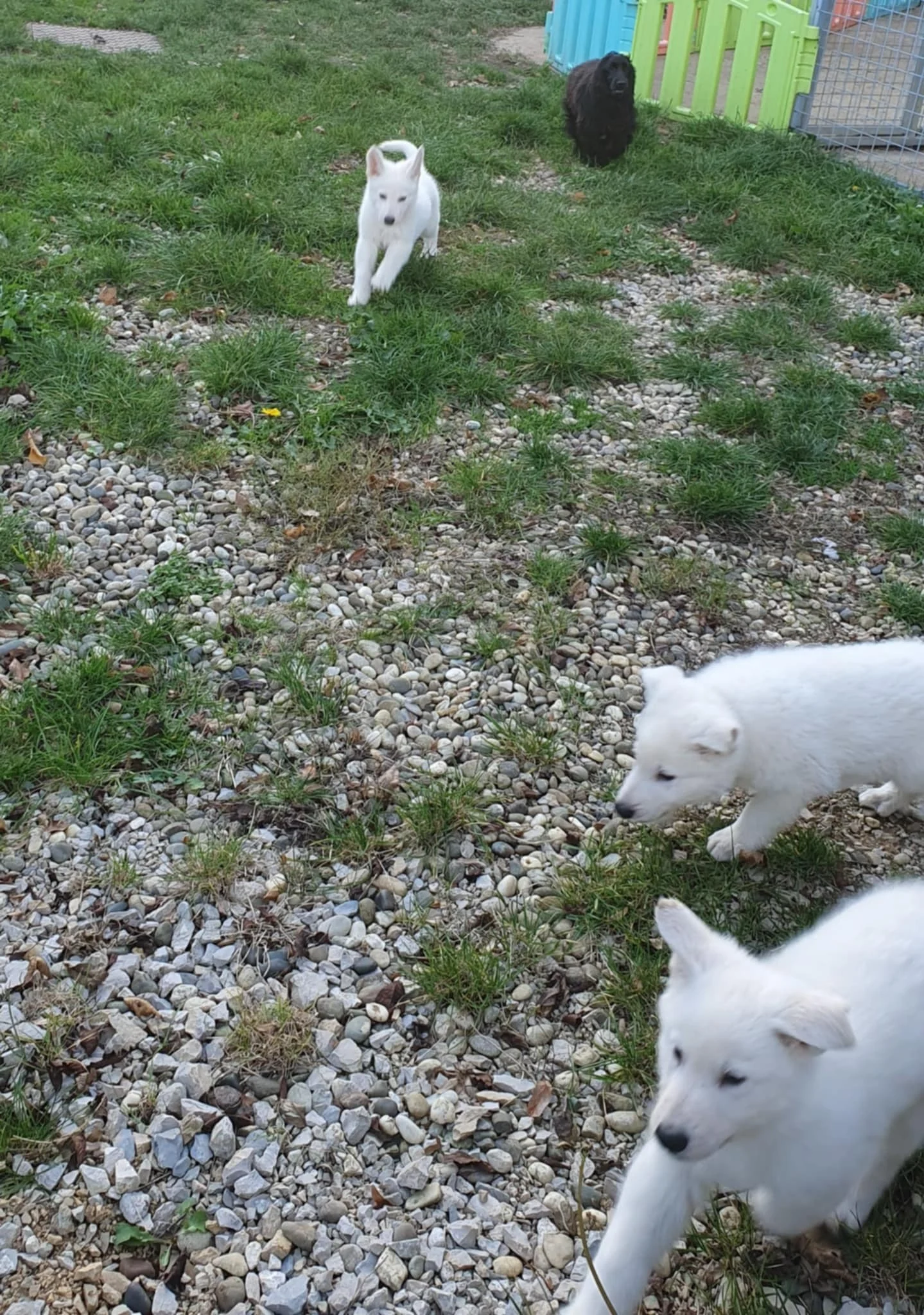 on a encore bien grandit