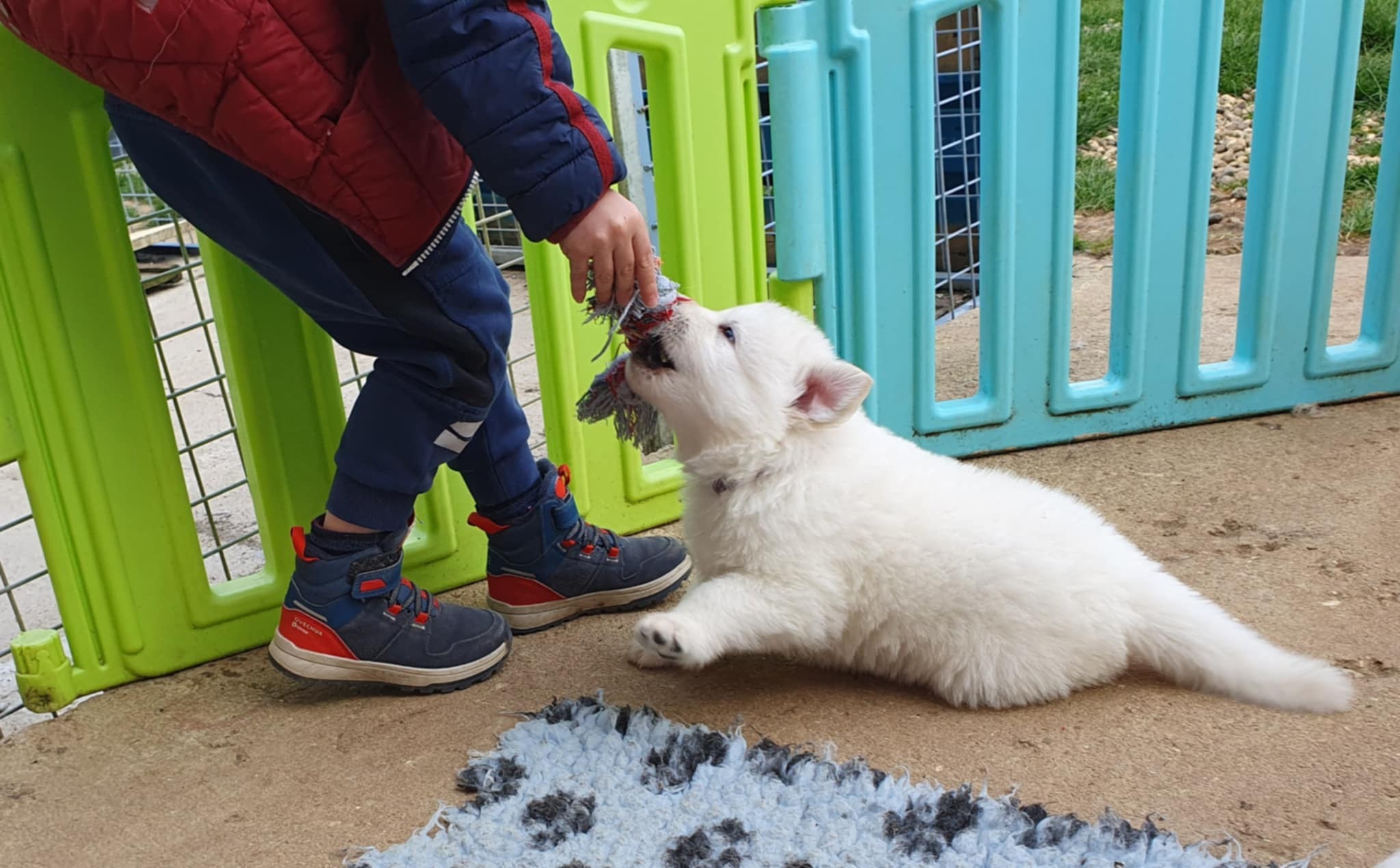 tu me le prête ?