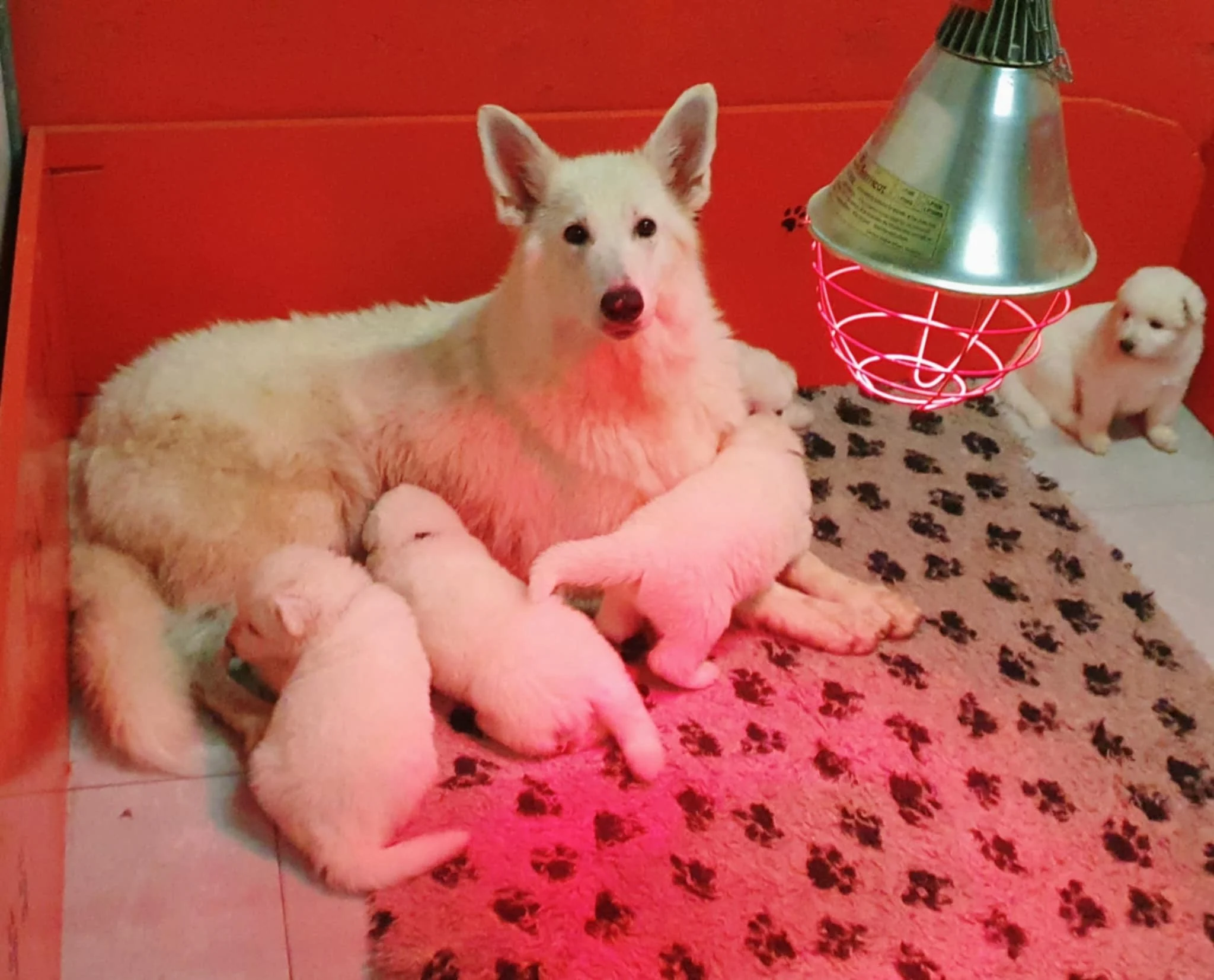 maman toujours aux petits soins