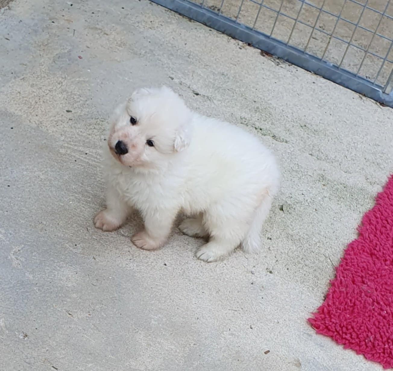 coucou toi