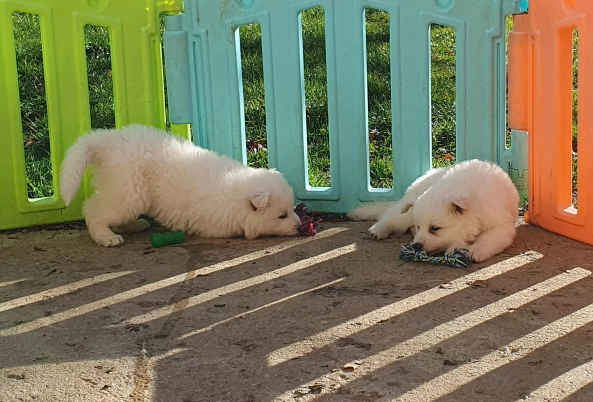 on est bien installés 