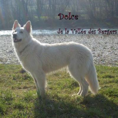 Dolce , la maman