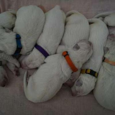 5 jours <3