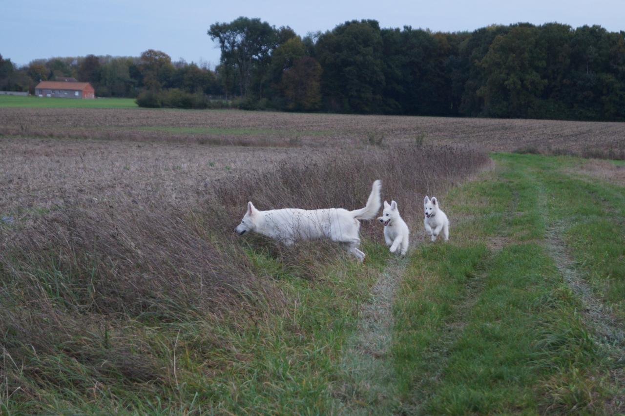 Flora et ses filles