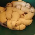 pendant que maman nettoie notre caisse ^^