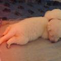 c'est confortable aussi comme sa ^^