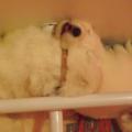confortable ??