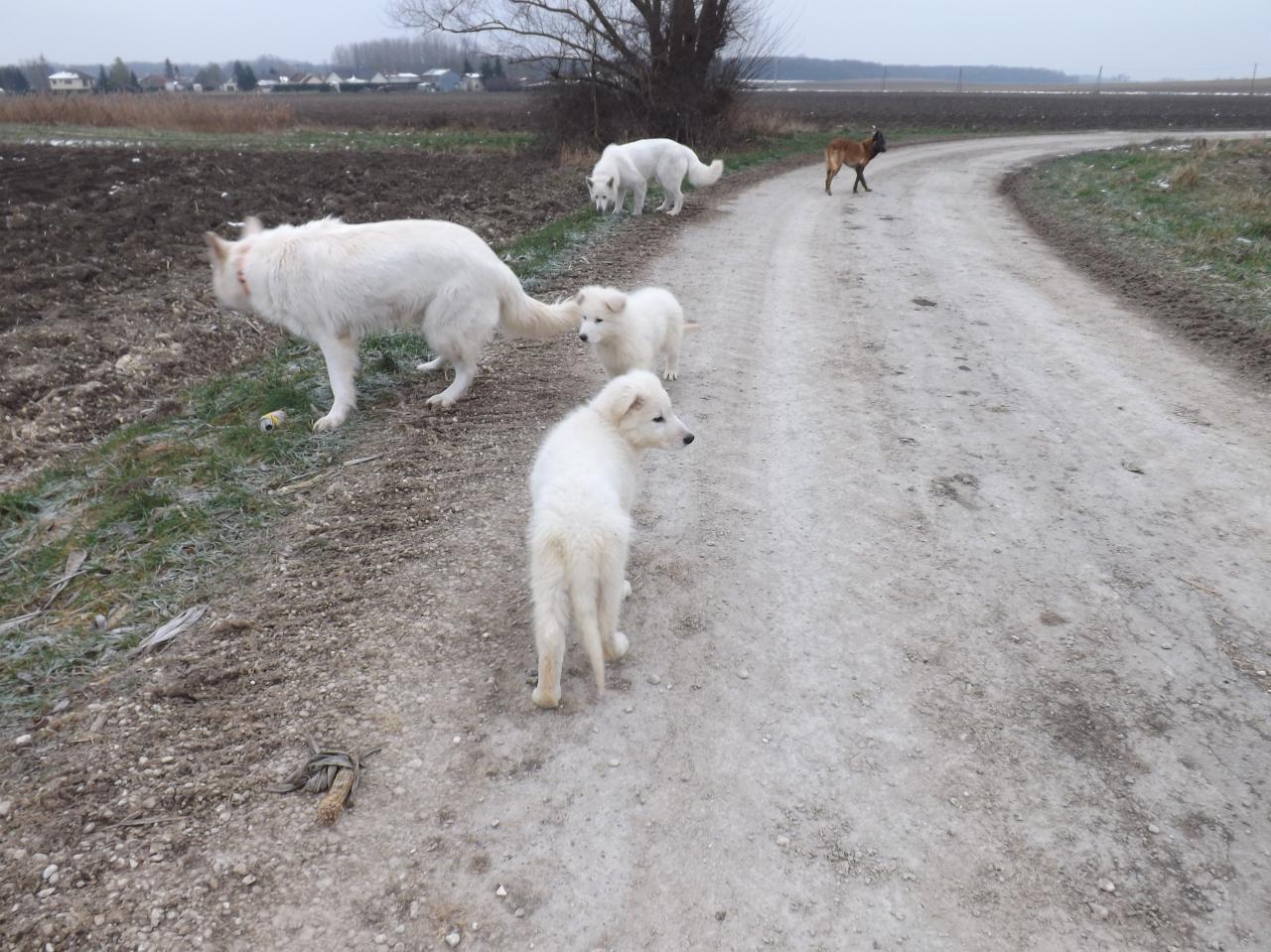 balade en famille