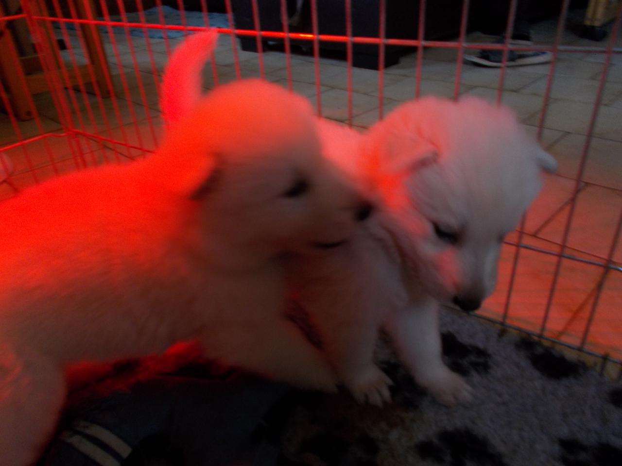 <3
