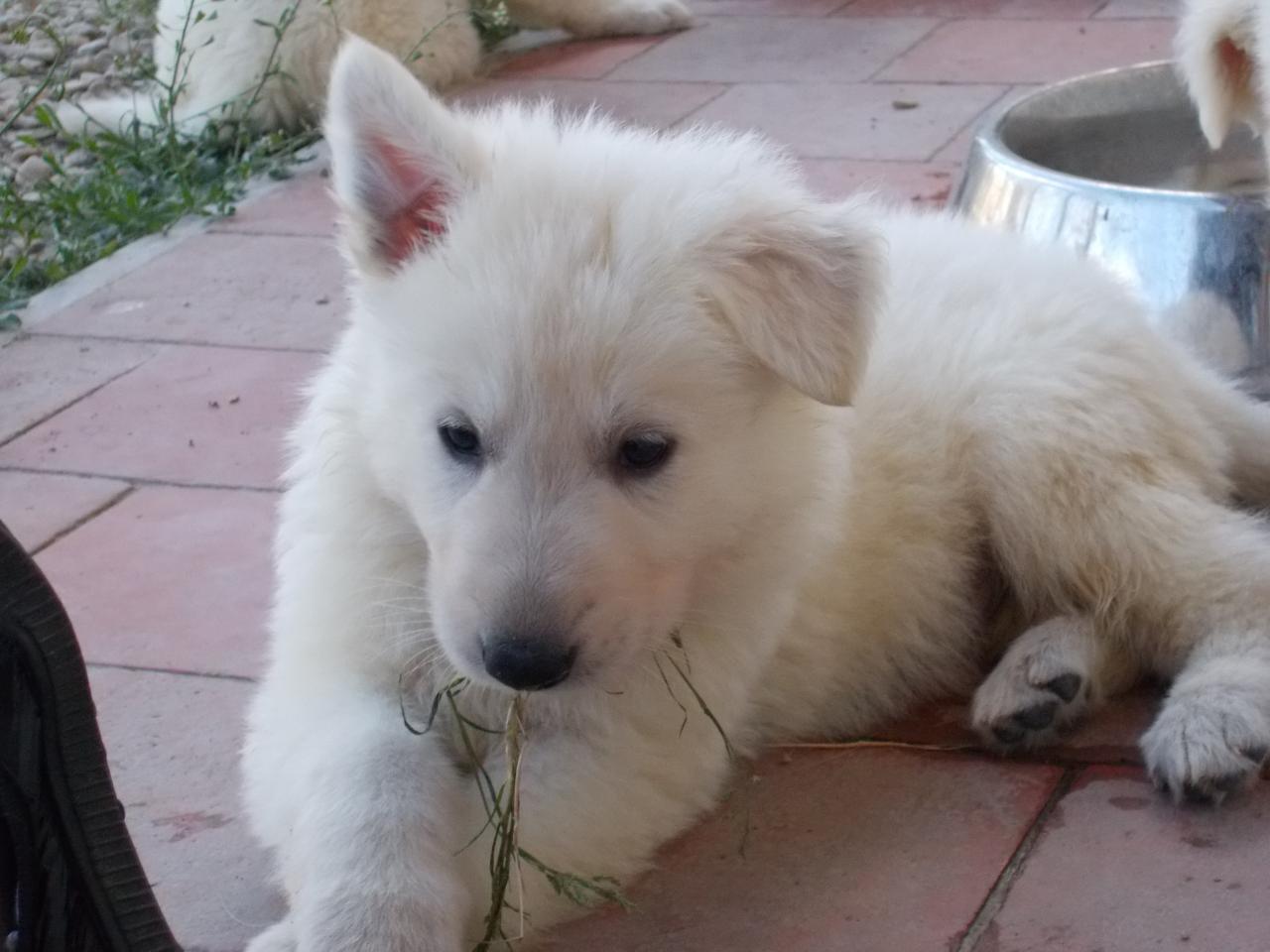 <3