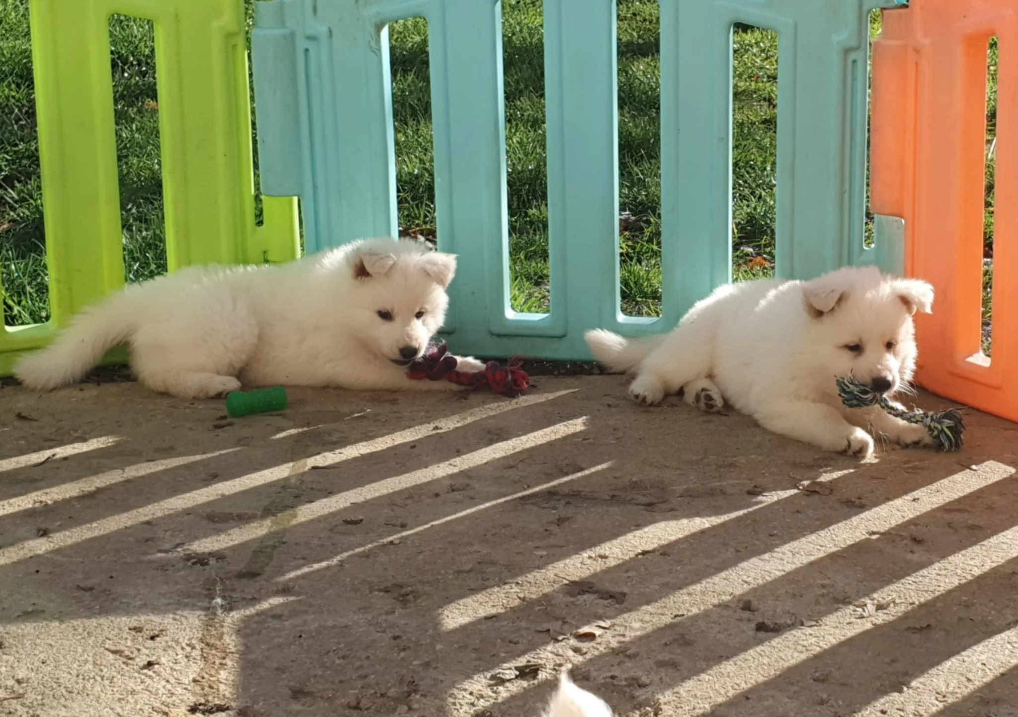 on adore nos joujoux